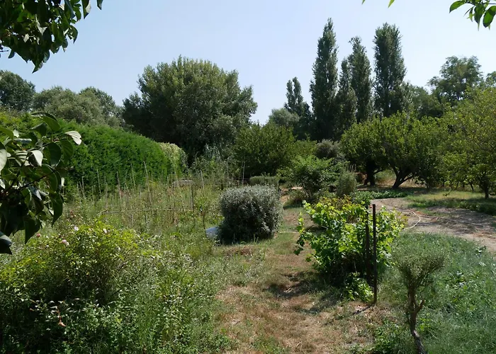 Un Doux Chemin