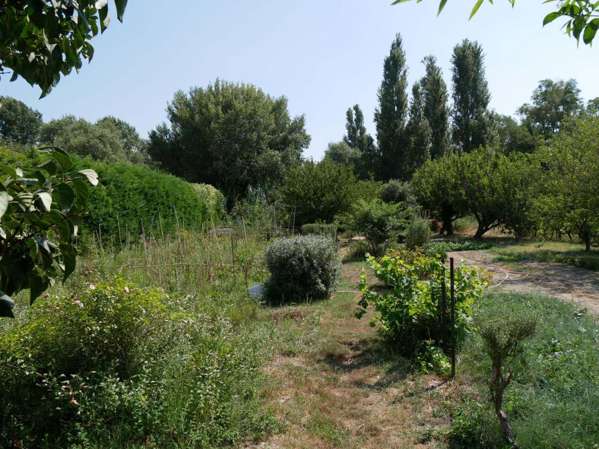 Un Doux Chemin * Valréas